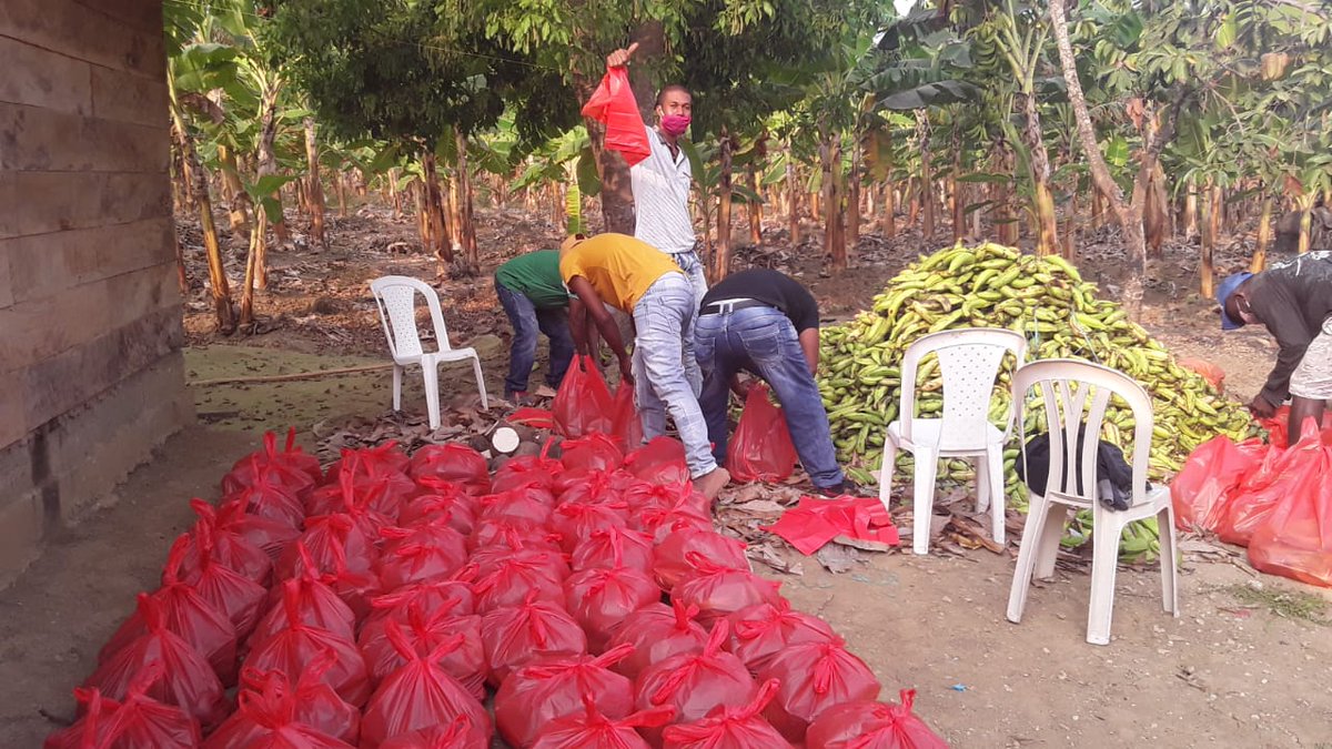 asoagrocord's tweet photo. El Gremio empacando los productos de la region como #platano, #Yuca y #Ñame
Para Donar a las familias mas vulnerables del Municipio de #MOÑITOS 
#ElCampoNoPara #ElCampoNosUne https://t.co/yF5rbgYokE