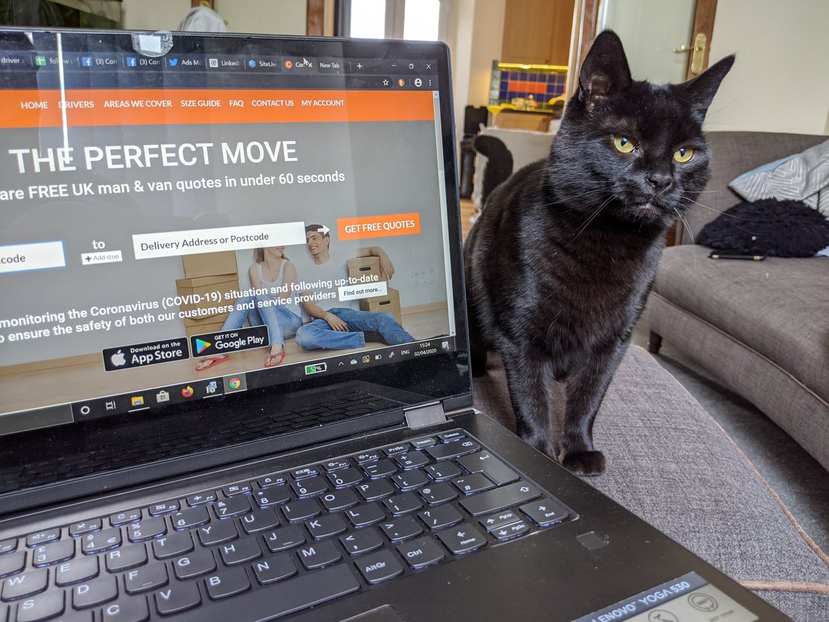 Compare the Man and Van tweet media