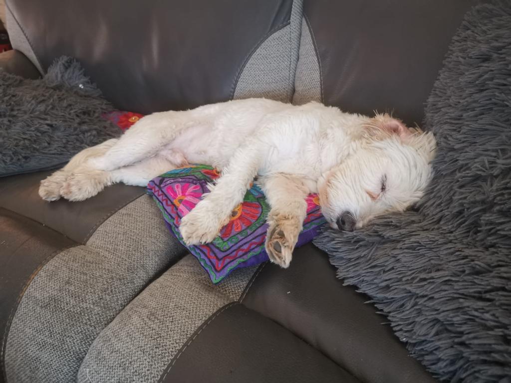 Compare the Man and Van tweet media