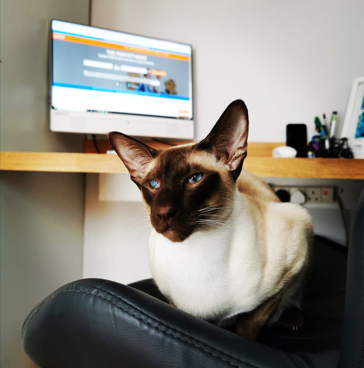 Compare the Man and Van tweet media