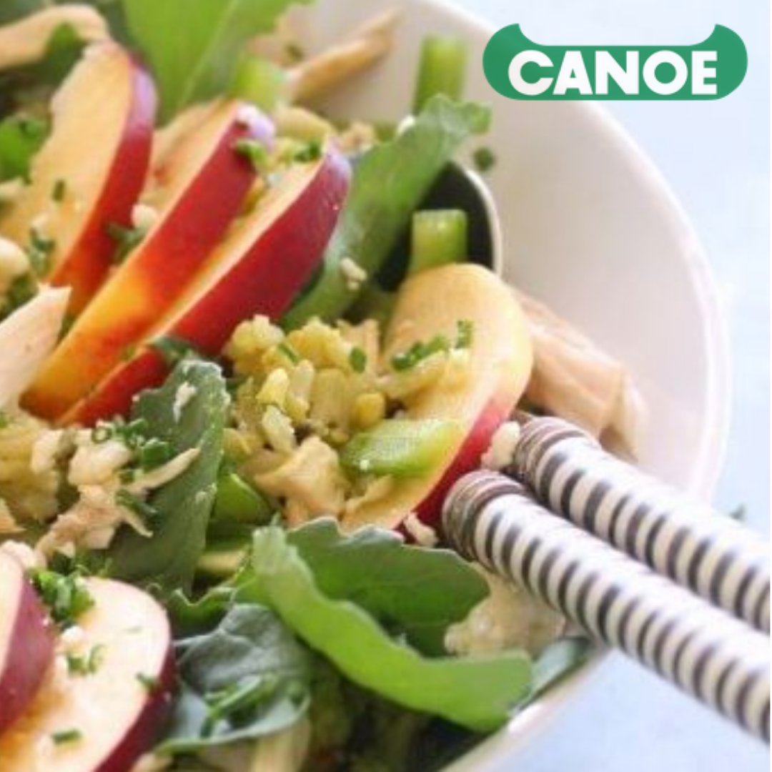 CanoeWildRice's tweet photo. This wild rice salad is oh so delicious and oh so healthy. Mixed with chicken, avocado, apple cider vinegar, healthy greens, fresh fruit, and feta cheese, it makes the perfect lunch or light dinner 🙂 https://t.co/3IMzX90RiV
#CanoeWildRice #WildRiceSalad #WildRice https://t.co/YRlHHZa4XU