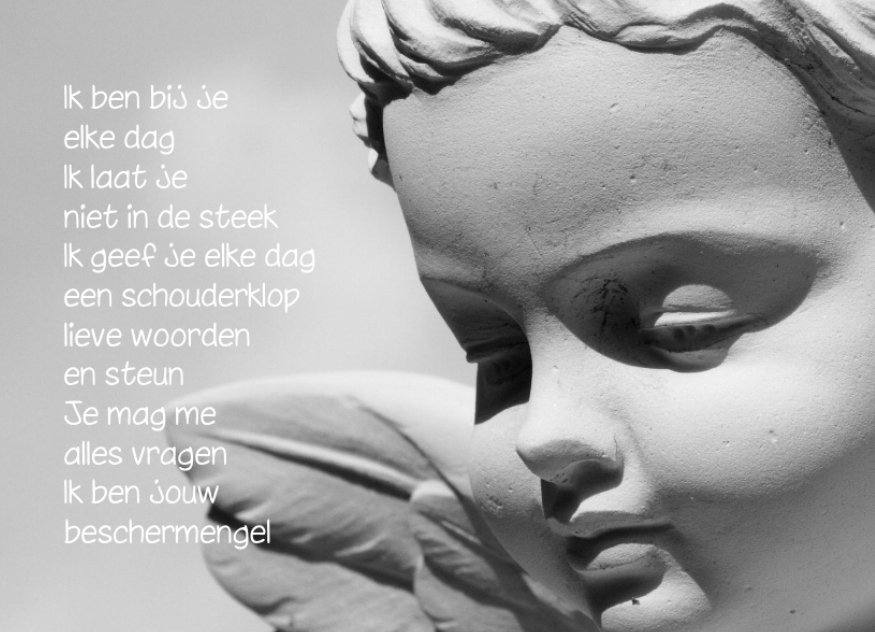 Soamen op 'n Benkske tweet media