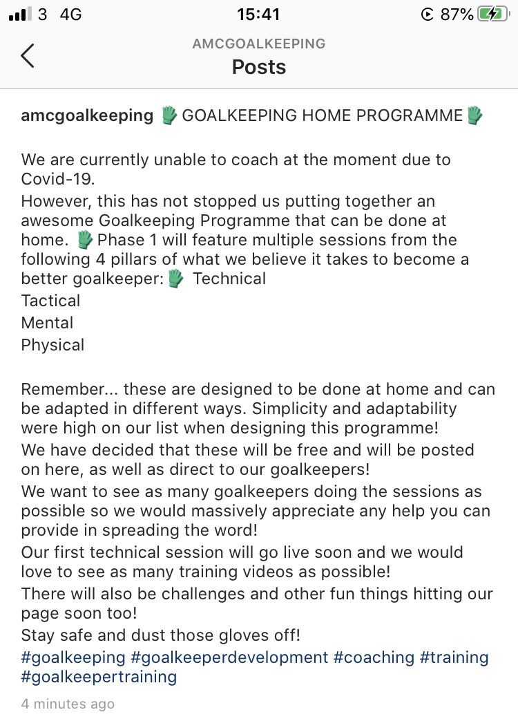 AMC Goalkeeping Academy tweet media
