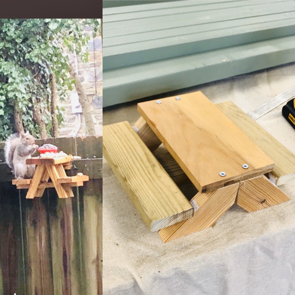 StevenageEsc's tweet photo. After seeing this on Twitter yesterday @lucyleid one of our students made one this morning to take home #squirreltable #keepingstudentsbusy #ThankYouLucy https://t.co/oXExztZJIa