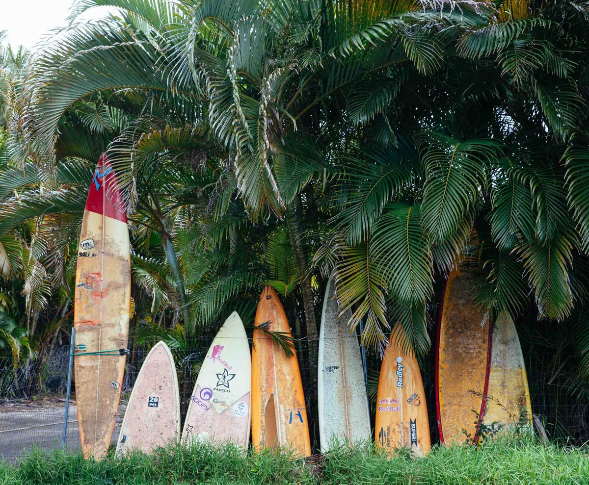 Wavecation's tweet photo. Surfboard graveyard. 🌿 #maui #hawaii 📷: @waipastudio https://t.co/a5ESn7k3DR