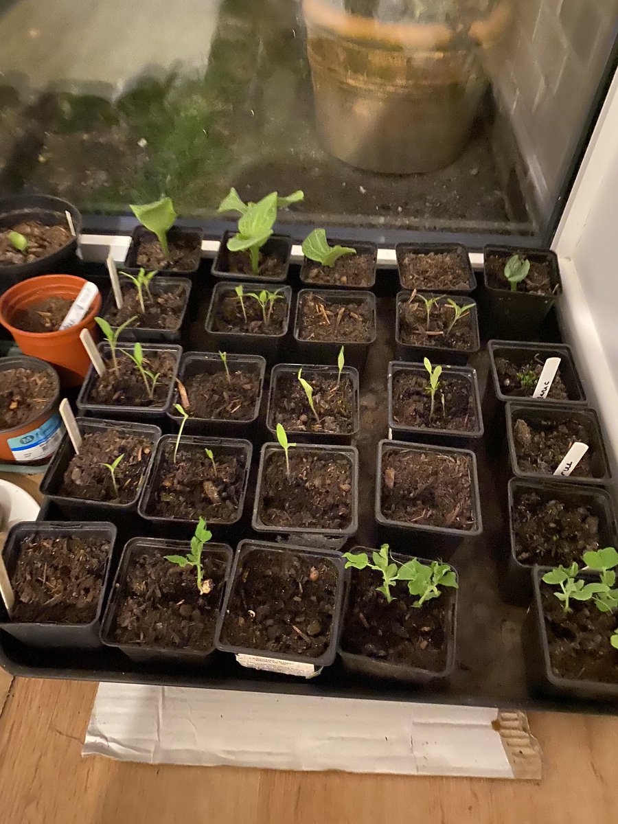 Vicky Romilly tweet media