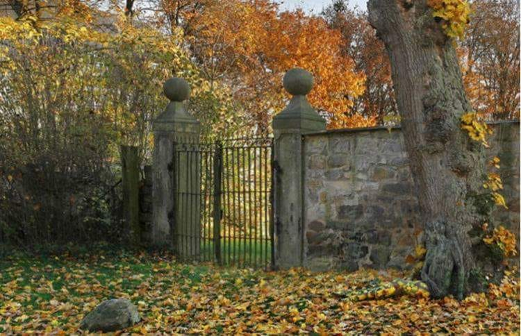 Als je de vrouw ziet die verborgen zit in deze foto heb je een uitzonderlijk waarnemings vermogen.

Niks verklappen, alleen delen als je haar ziet.