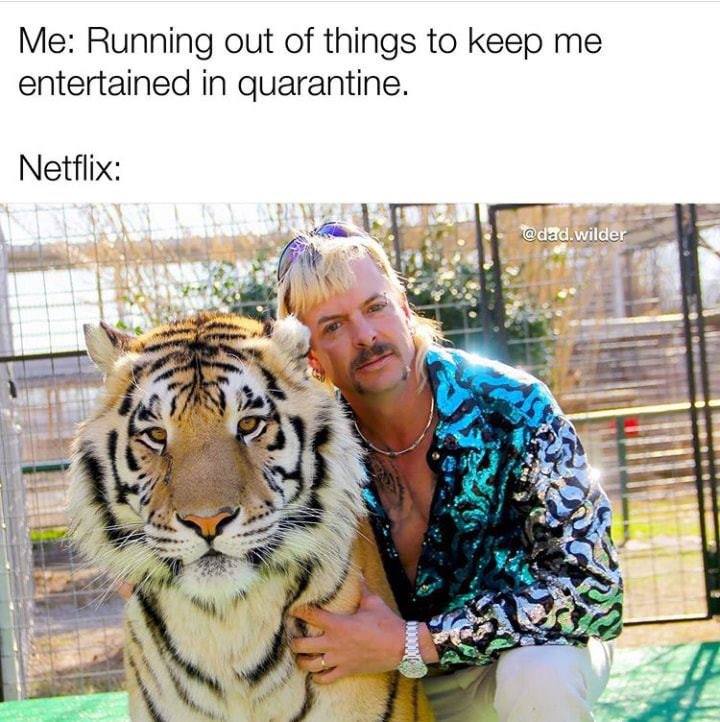 AwardsCreative's tweet image. I'm sure we've all heard at least one thing or another about "Tiger King." Have you all watched the series yet? If so, what team are YOU on? Favorite for Joe Exotic, or RT for any of the other main characters!