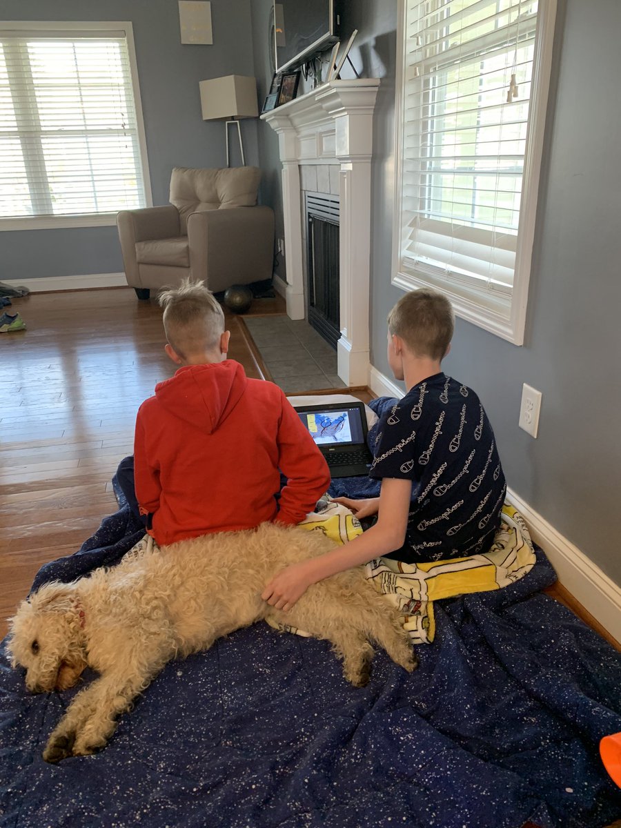 Just a couple boys and their dog studying history together❤️ #sycamoreteam <a href="/CMSGoBlue/">Christiansburg Middle School</a> <a href="/mcps_va/">MCPS</a>