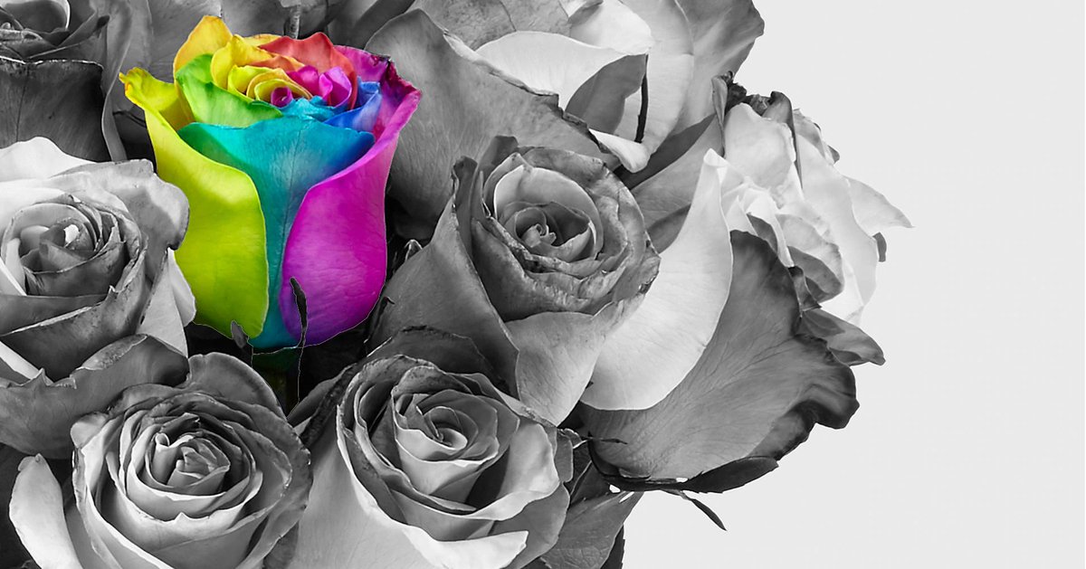 Tom Hartley tweet media