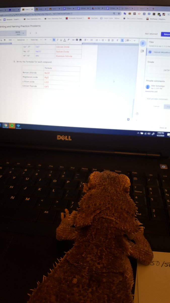 Ellen Schweiger tweet media