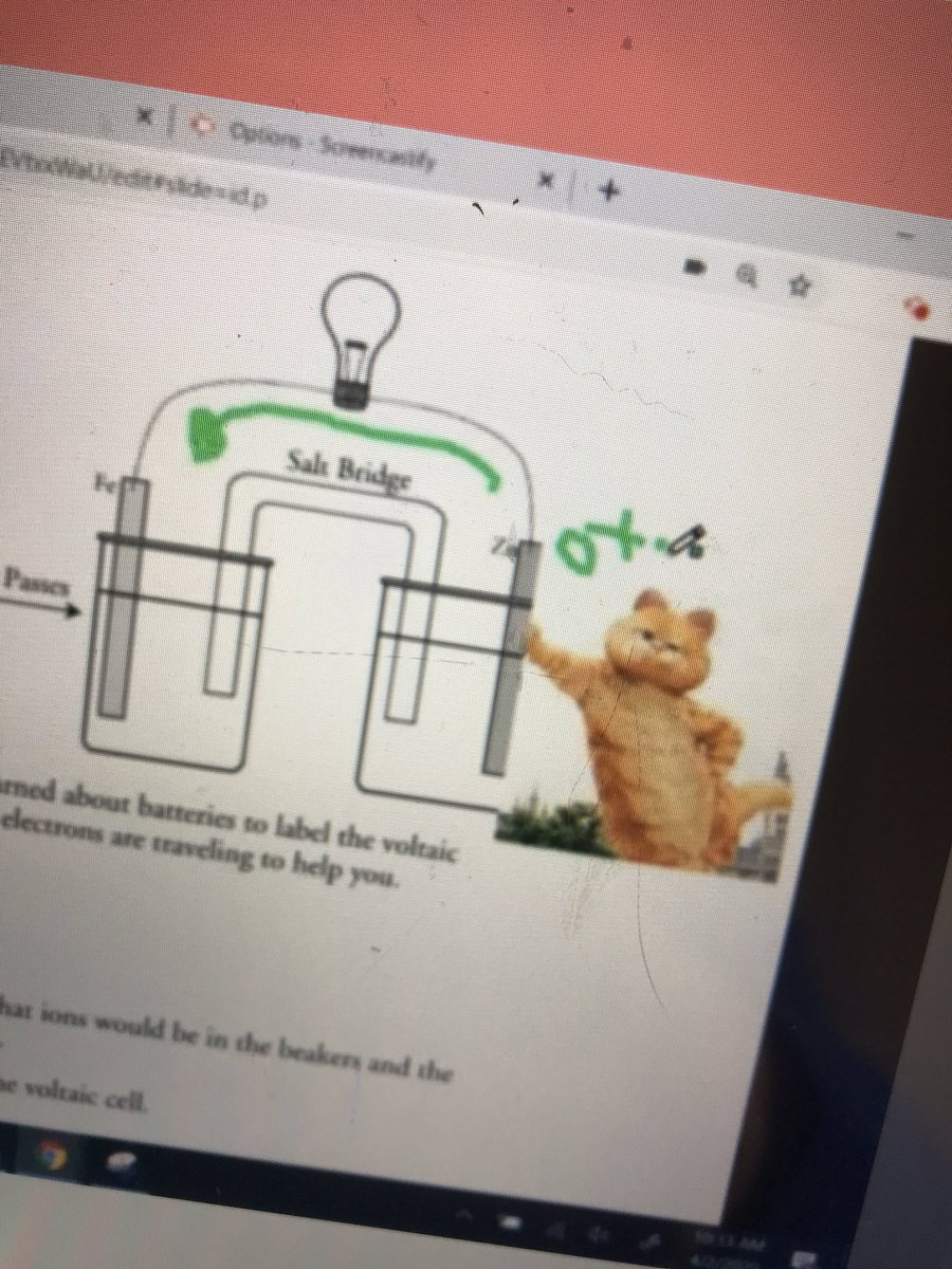jolenemcdowell's tweet photo. That moment when you realize your big fat red cat is leaning on the anode not the cathode #chemproblems #remotelearning #screencastify https://t.co/NaRR6fdBZn