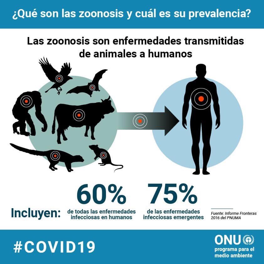 JMartinezPuente's tweet photo. La ecología del parasitismo/enfermedades nos ayuda a entender la importancia de diferentes factores que afectan la transmisión de patógenos, muchos de ellos circulando entre fauna silvestre, doméstica y personas. Por eso se hace esencial que utilicemos aproximaciones ‘one health’ https://t.co/VlrvBF7paK