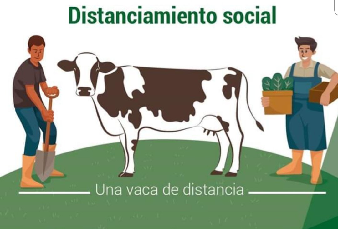Si juntamos esfuerzos evitaremos que el virus se propague. Los invitamos a dejar una "vaca" de distancia entre comprador y domiciliario.  (Nos saludan al autor de esta imagen)