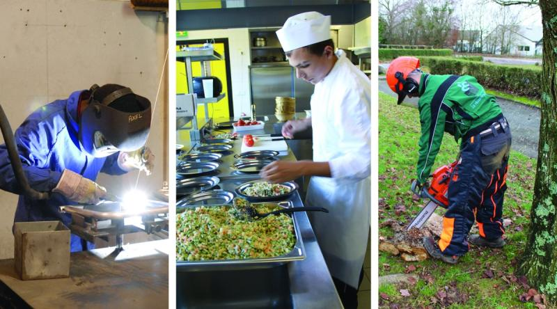 Etablieres's tweet photo. 👉L @ecoleproduction des @Etablieres 
 prépare les jeunes de 15 à 20 ans  avec pédagogie adpatée et suivi individualisé, au CAP:
🌻 #jardinier #paysagiste
🍲Agent polyvalent de #restauration
🔧Agent de #maintenance des bâtiments de collectivités
https://t.co/hBDEwglsRj https://t.co/uZJAkMlEdf