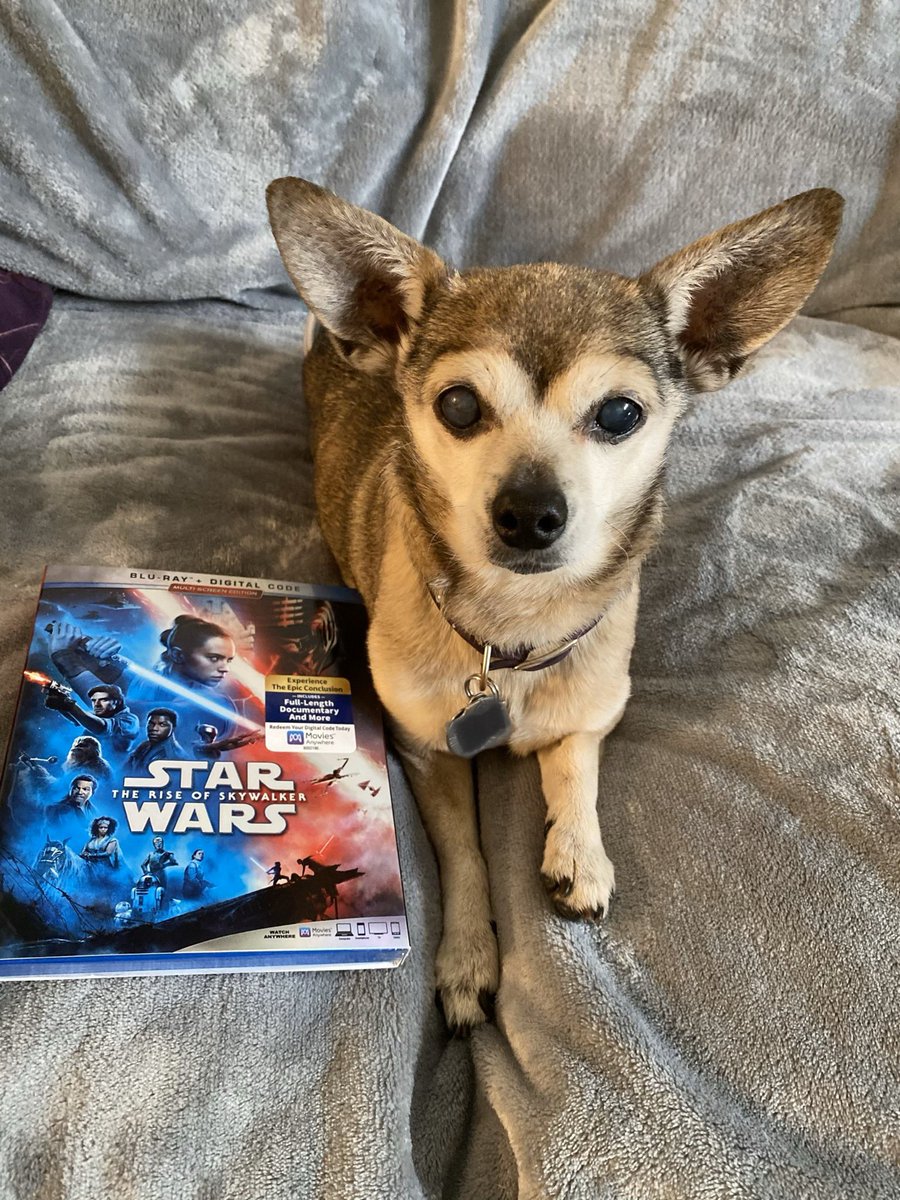TylerJolley's tweet photo. I think she’s trying to tell me something. 
#SeriousPuppyBusiness https://t.co/0PjA0J97Bg
