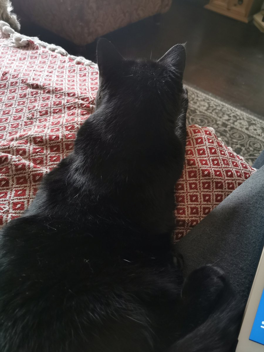 Slowly getting my arse annexed by Miss Morrigan.