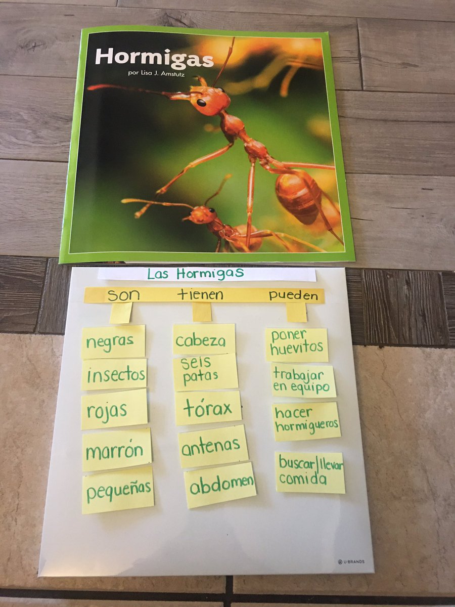 RiveraDual's tweet photo. Aprendiendo virtualmente sobre los insectos. Excelente trabajo KB!@RangersRivera https://t.co/vPVUW19cMb