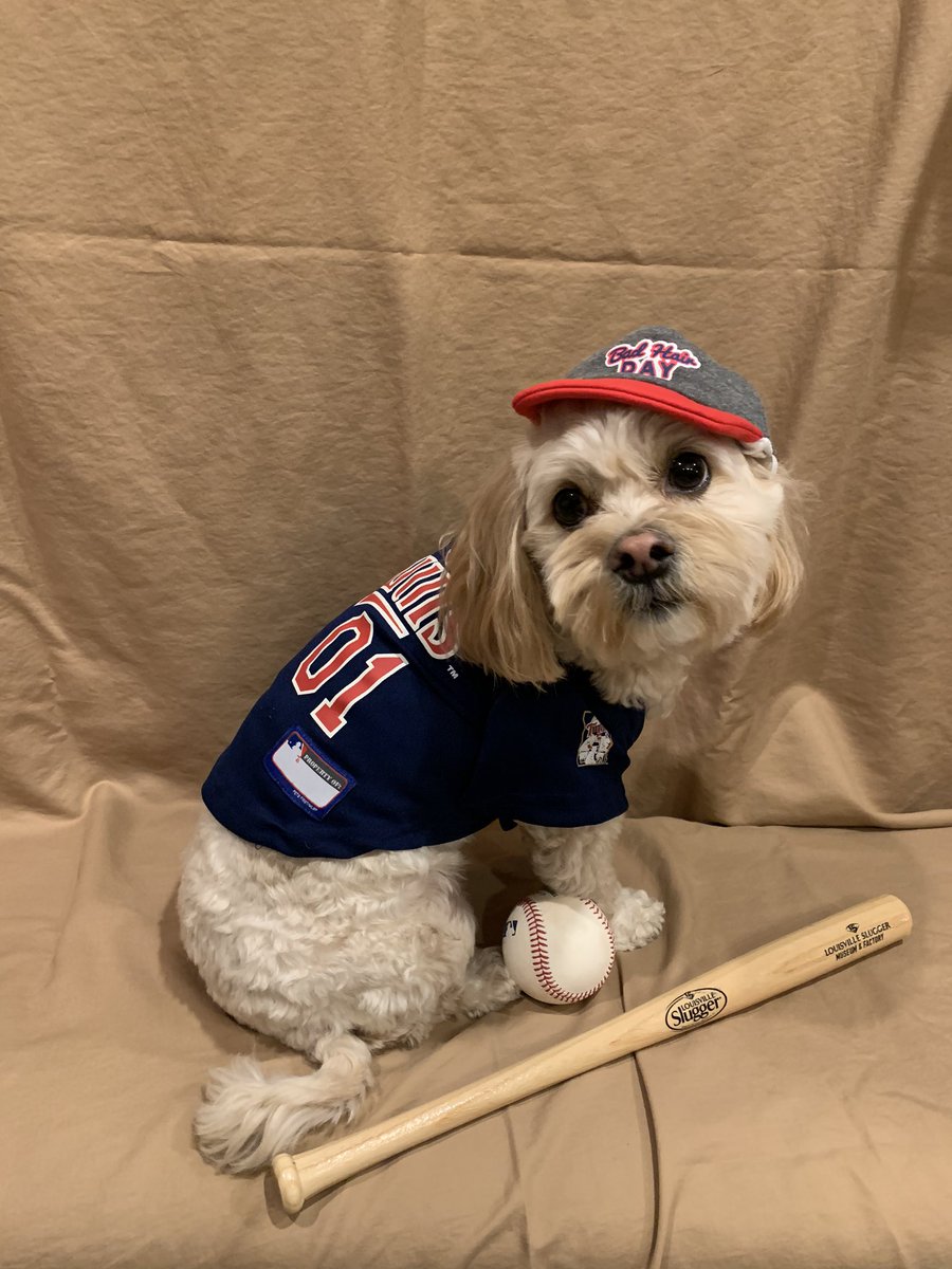 NorberttheDog's tweet photo. Wait did I miss something? @Twins #OpeningDay https://t.co/6b1iTCBodL