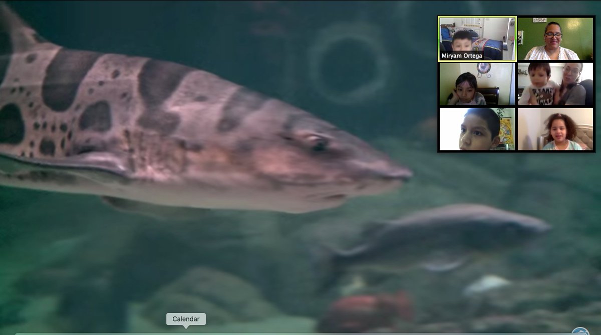 PS280QClusters (@ps280qclusters) on Twitter photo Who says we can't go on a trip!  #VirtrualTrip Young Scientists having fun exploring the aquarium! <a href="/Ps280Q/">PS280Q</a> @Principal280Q <a href="/nycdistrict30/">District 30</a> <a href="/DOEChancellor/">Chancellor Melissa Aviles-Ramos</a> <a href="/PS280QClusters/">PS280QClusters</a> Who says we can't go on a trip!  #VirtrualTrip Young Scientists having fun exploring the aquarium! <a href="/Ps280Q/">PS280Q</a> @Principal280Q <a href="/nycdistrict30/">District 30</a> <a href="/DOEChancellor/">Chancellor Melissa Aviles-Ramos</a> <a href="/PS280QClusters/">PS280QClusters</a>