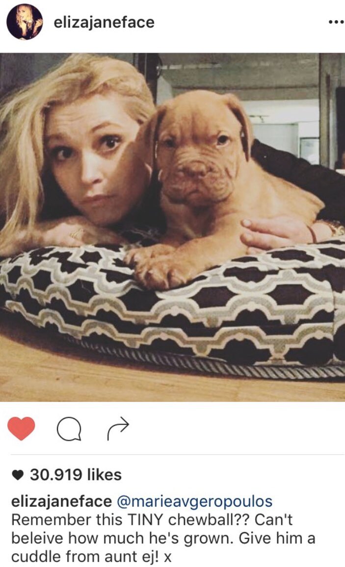 some more eliza + marie + chewie content