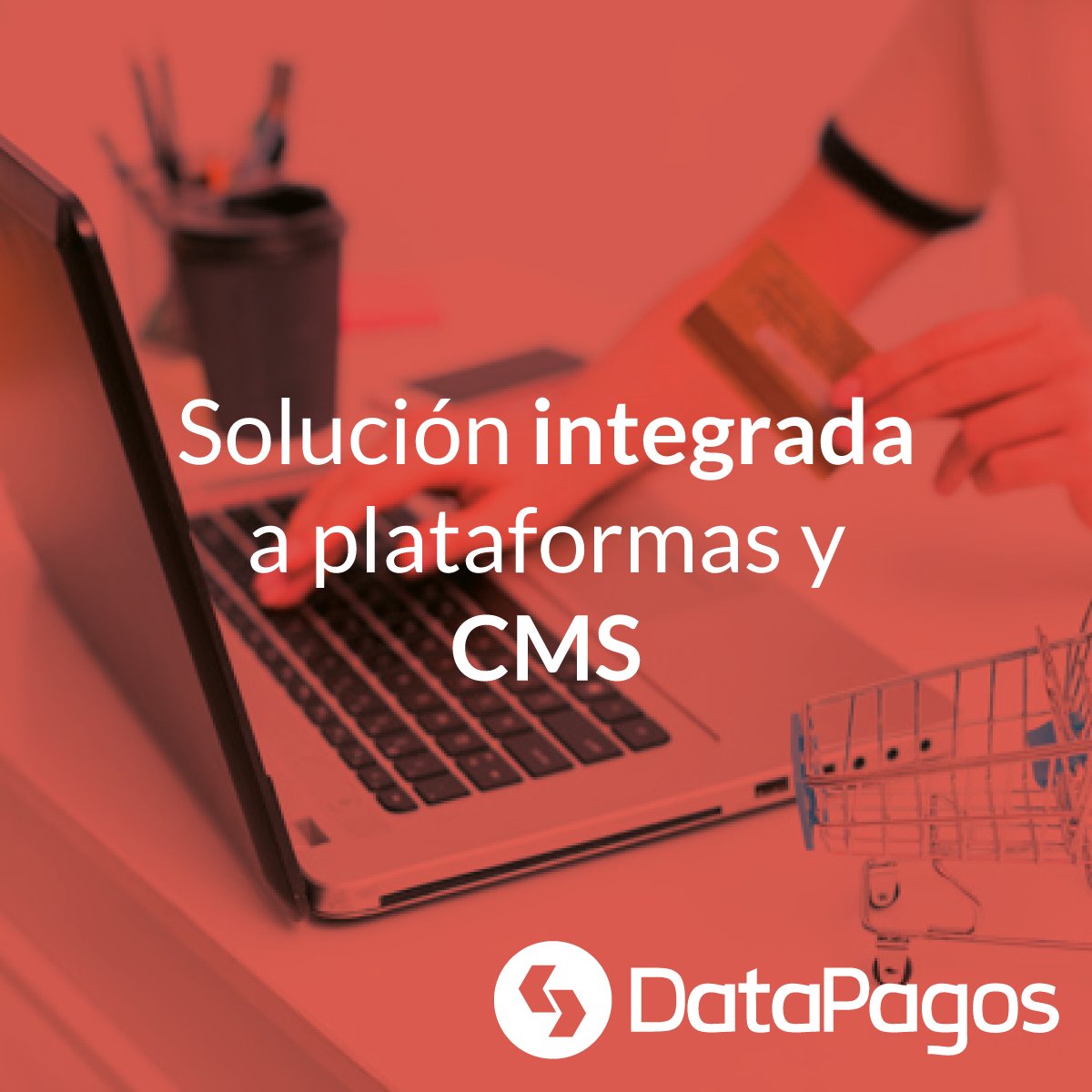 Datasofting's tweet image. DataPagos puede integrase a gestores de contenido como WooComerce, Drupal, Joomla, entre otros. 

#DataPagos #Pasareladepagos #Modelogateway #Modelocollet