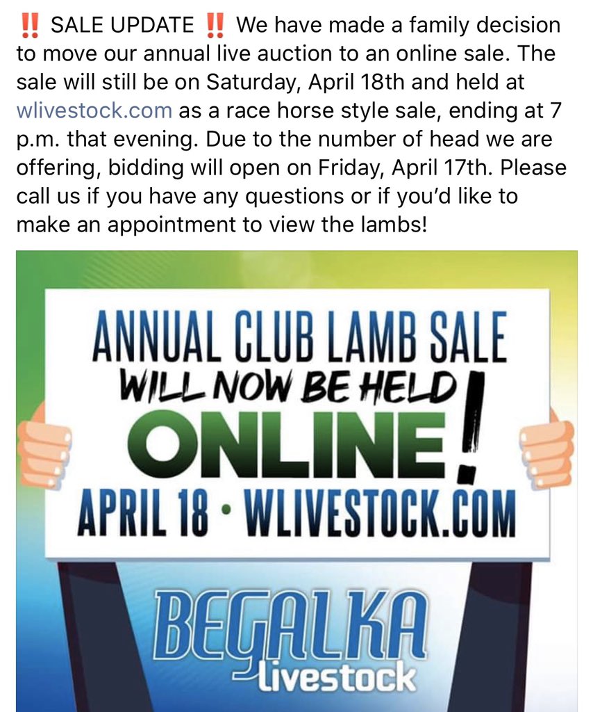 Begalka Livestock (@begalkal) on Twitter photo 