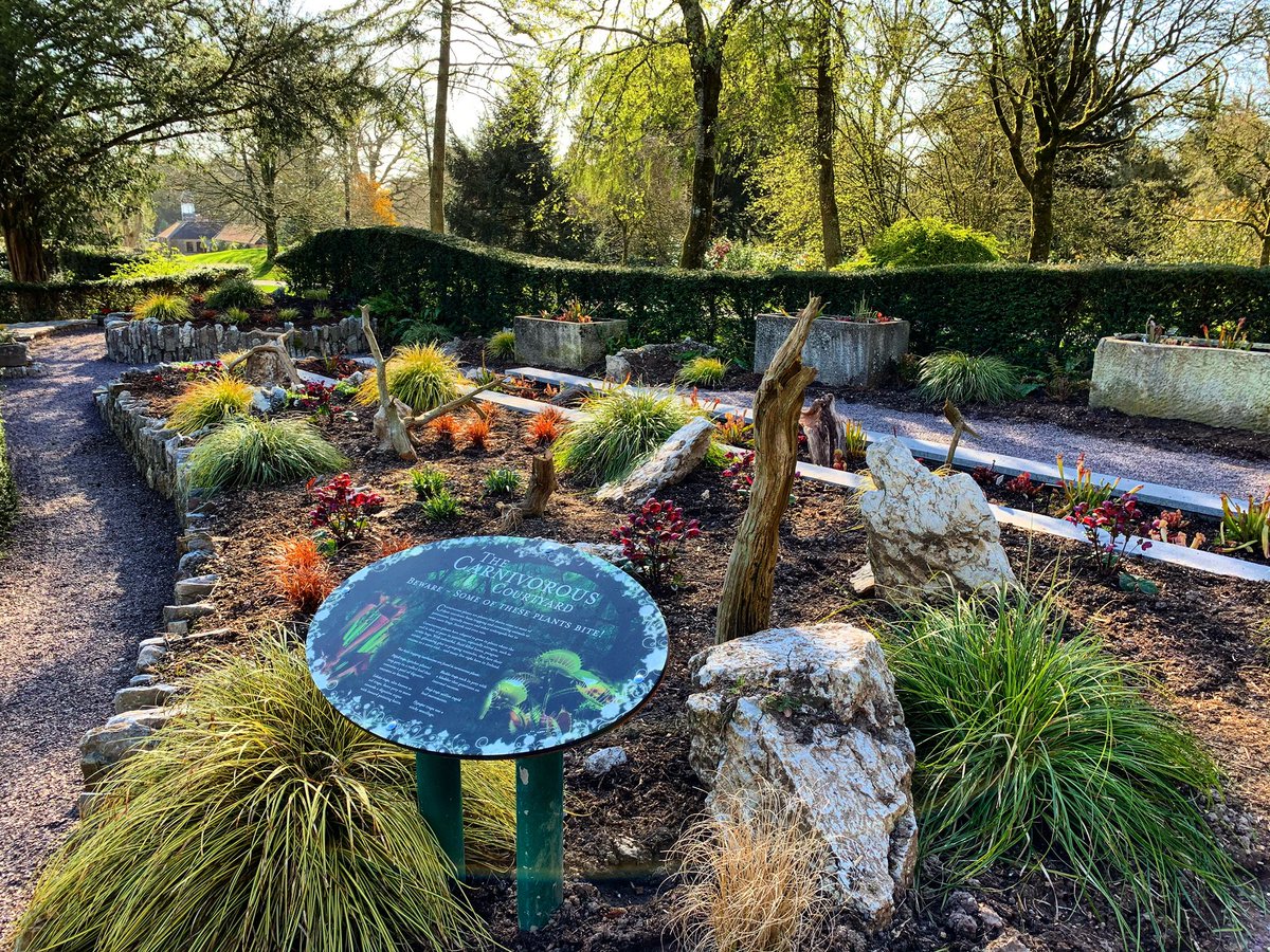 Blarney_Castle's tweet photo. Thursday Tour - The Carnivorous Courtyard! Beware - some of these plants BITE!!!!
Few pictures of our newest garden which is situated next to the poison garden! #blarneycastleandgardens #thursdaytour #purecork #KeepDiscovering https://t.co/JDA8di71Hm