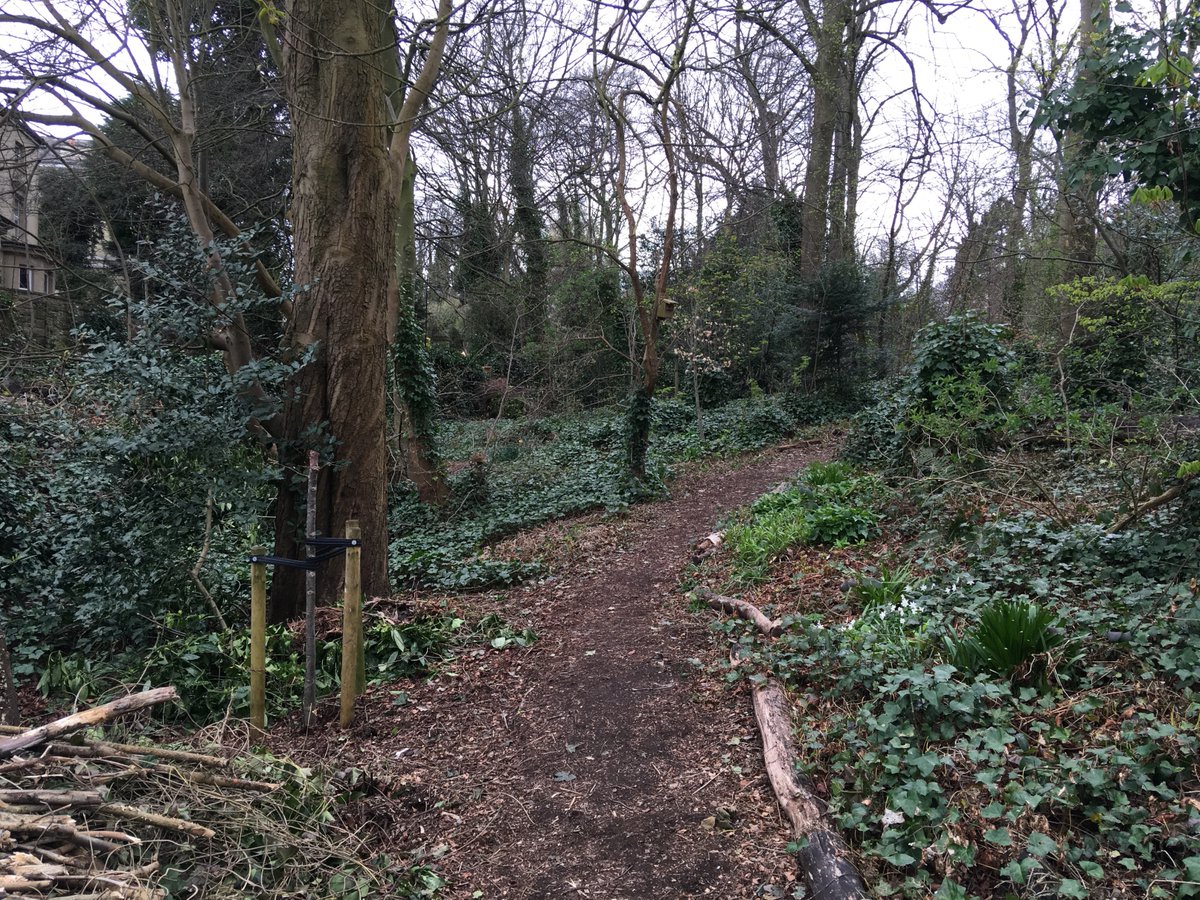 Lockdown day 10. Lunchtime walk and a chance to discover one of Sheffield’s hidden gems: Lynwood Gardens nature reserve and community garden in Broomhall.