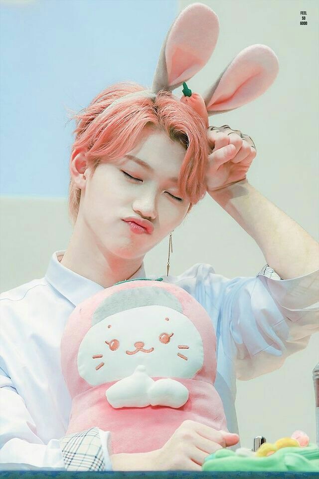 ┊ ┊ ┊ ┊ ┊⋆｡ ┊ ┊ ✫ ˚♡ ┊ ☪︎⋆ ✧FELIX AS CAT A NECESSARY THREAD #StrayKids  #STAY  #felix  #Mixtape_OnTrack