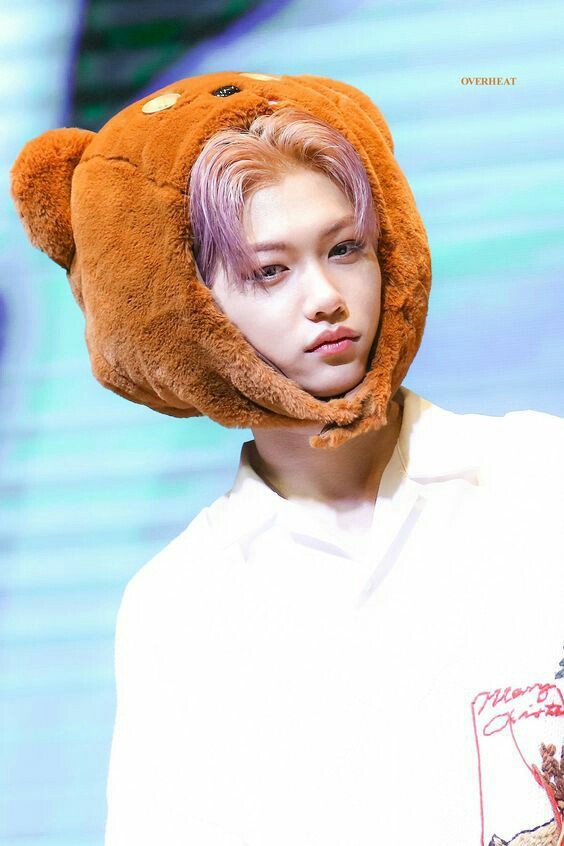 ┊ ┊ ┊ ┊ ┊⋆｡ ┊ ┊ ✫ ˚♡ ┊ ☪︎⋆ ✧FELIX AS CAT A NECESSARY THREAD #StrayKids  #STAY  #felix  #Mixtape_OnTrack