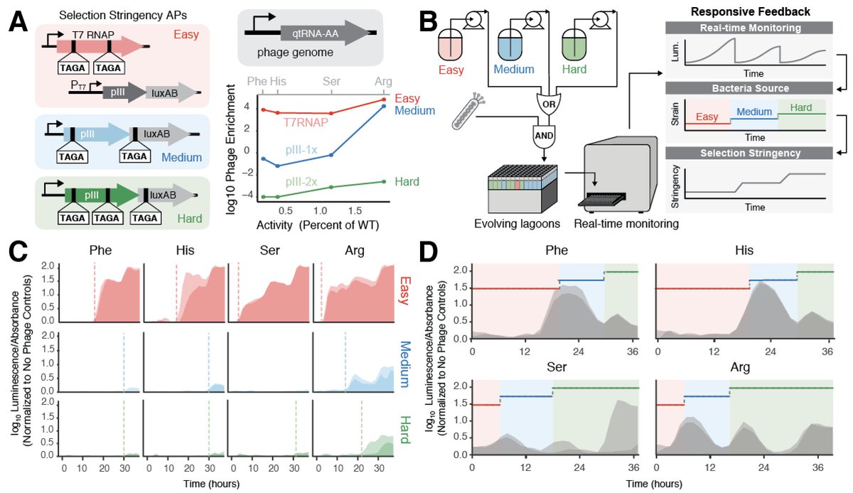 With real-time monitoring, we developed feedback-control that automatically bumps up the bacteria stringency when we sense phage, but not before.Now you can run dozens of evolutions simultaneously, even with different bacteria and different starting activities!!… 8/n