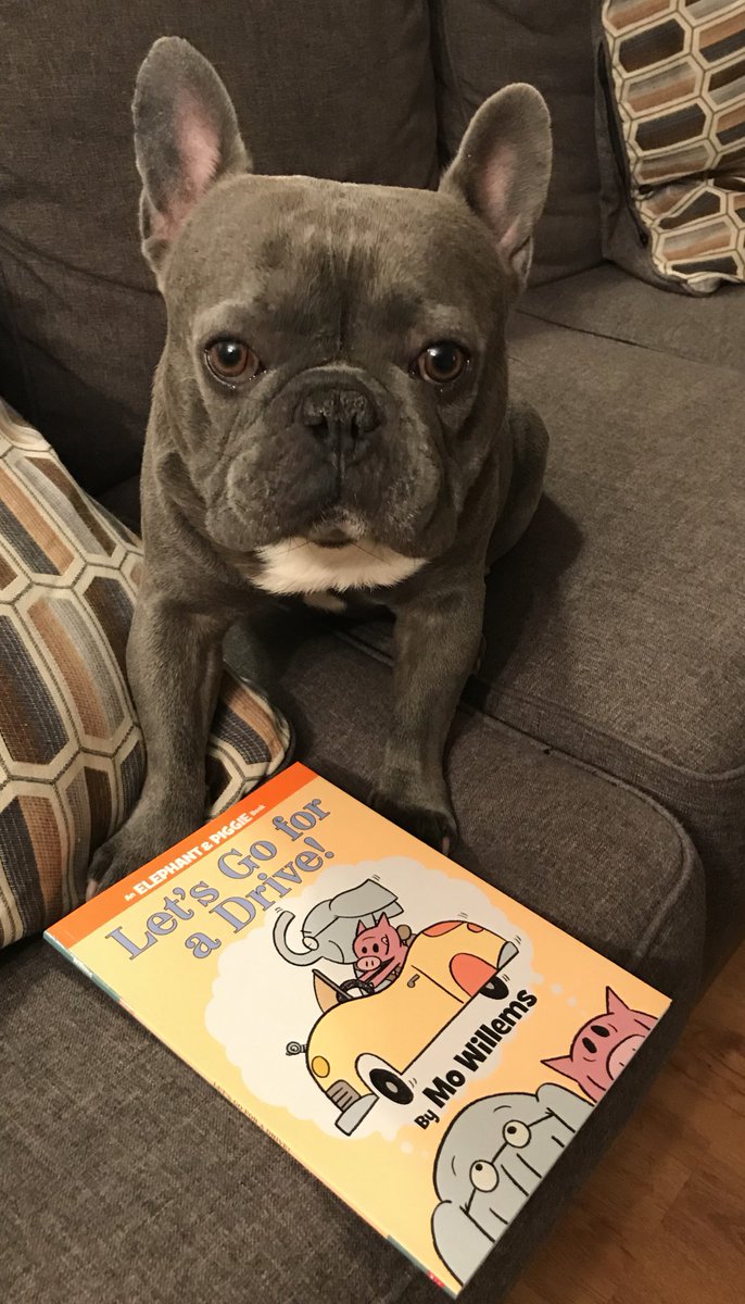 MsHufferTL's tweet photo. This morning we read Elephant and Piggie by @The_Pigeon 
Do you think he was hinting at something by picking this particular book? 
What are you reading today?
#outreadrowdy #rowdyreads https://t.co/kZSvV7o7EB