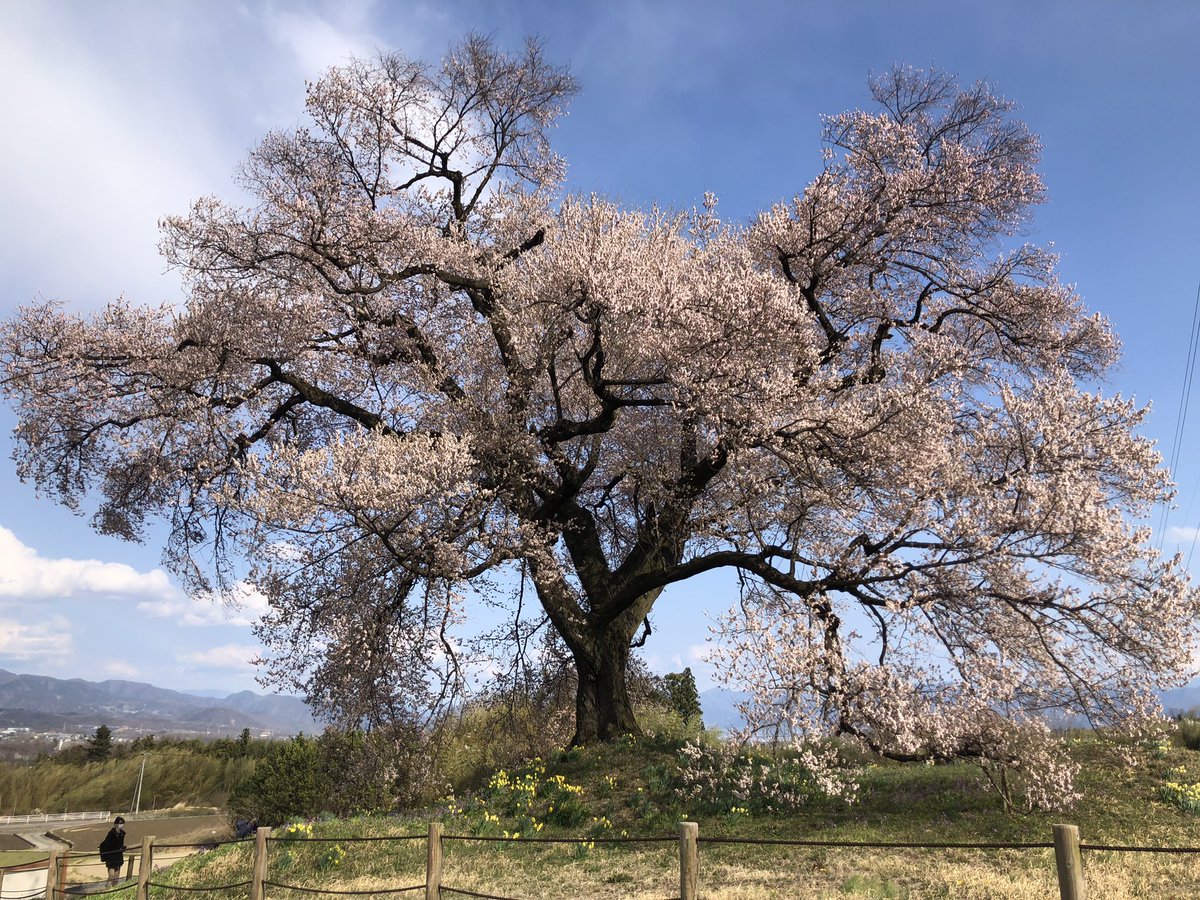 真夏 の 通り道 上手な換気の方法