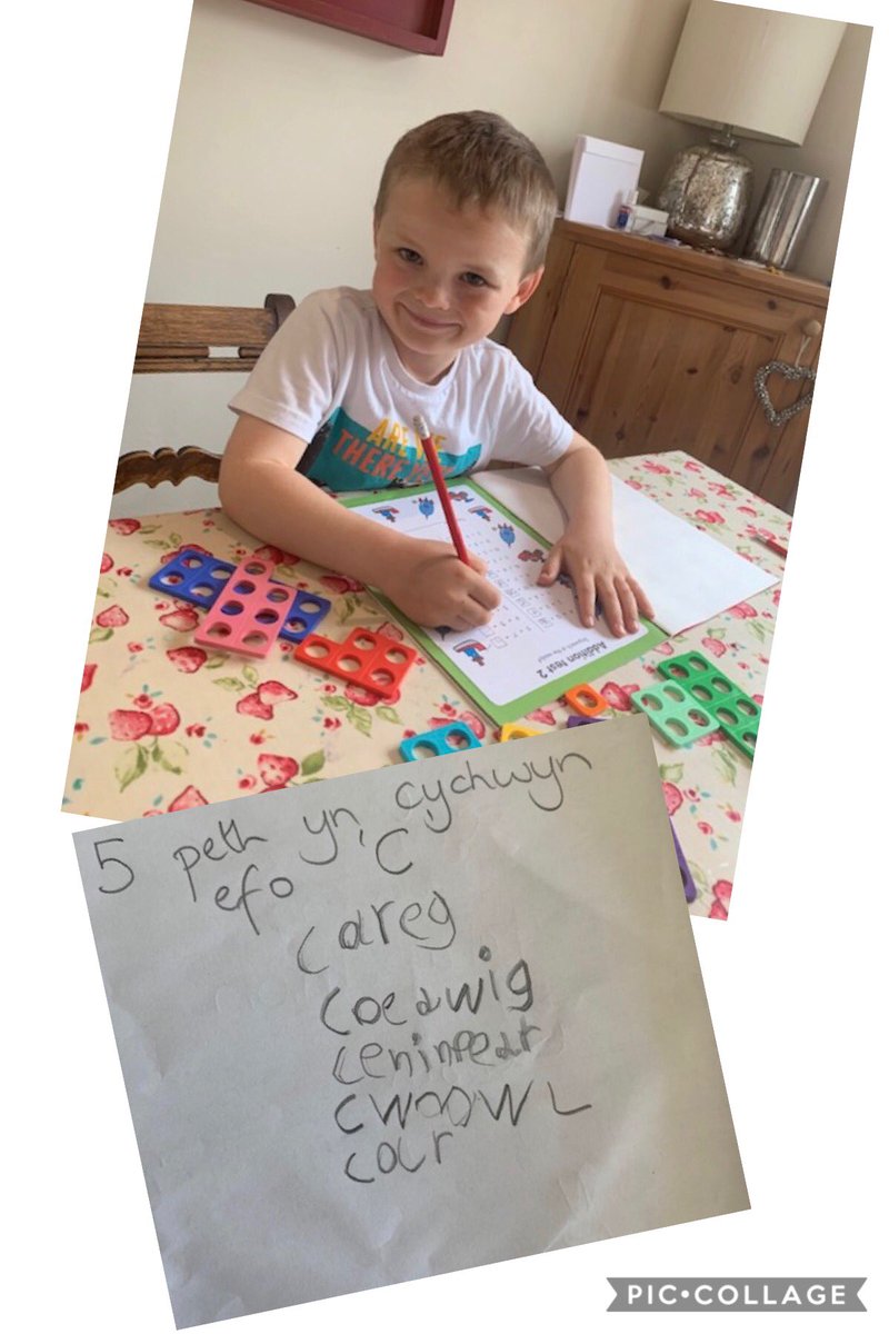 pantpastynog's tweet photo. Elsa, Loti, Iago a Gwenno wedi bod yn brysur! 😊 Everyone has been busy! 😊 https://t.co/KFrNrjKaLv