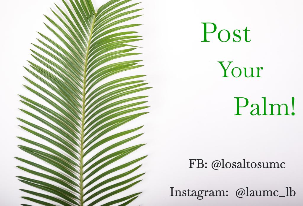 Post your Palms! my-open-heart.org/2020/04/02/pos…