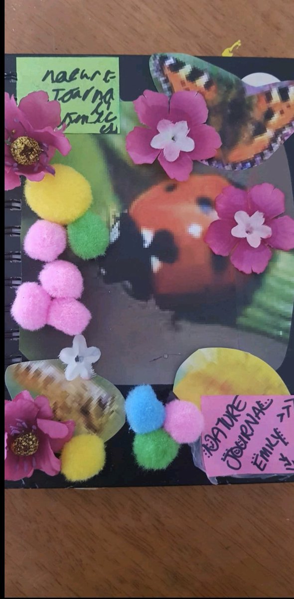 Smith_SMCA's tweet photo. It’s amazing to see lots of children in 1LS keeping a nature diary. Here we have Emily and her sister working hard in the garden, setting up bird feeders and recording what they see in her nature diary. Fantastic observing, so proud! #homelearners #ScienceFromHome https://t.co/k3H4Rpsj8s