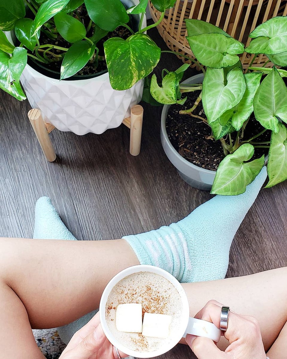 SmashMallow tweet media