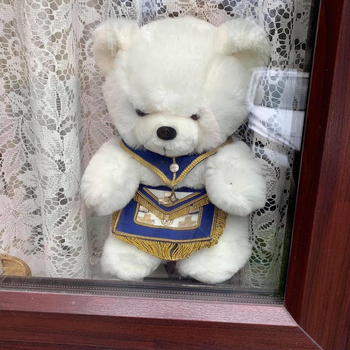 Order of Women Freemasons tweet media