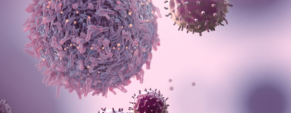 HConnexions's tweet photo. EXCLUSIVE WEBINAR AVAILABLE: Breakthrough Science to Treat Colon Cancer and Glioblastoma from the NIHEXCLUSIVE WEBINAR AVAILABLE: Licensing Opportunity in Treating Colon Cancer and Glioblastoma from the #NIH. Watch the Webinar NOW: https://t.co/ivKfFQZb7Y https://t.co/eN2YA99WLd