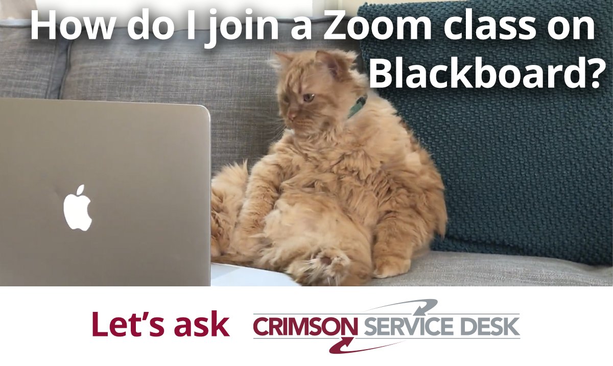 Wsu Information Tech On Twitter Crimson Service Desk Has You