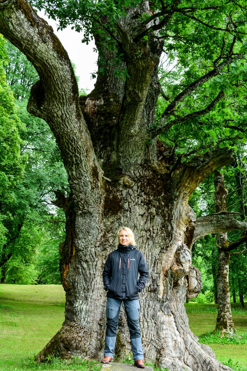 Es strādāju Dabas aizsardzības pārvaldē. Tā ir valsts iestāde, kas pilda dabas aizsardzības funkcijas. VARAM šobrīd mēģina būtisku daļu no šīm funkcijām nodot VVD. Tas notiek sasteigtā un negodīgā procesā, neizvērtējot ietekmi uz dabas aizsardzības sistēmu. Mērķis? #DAP
