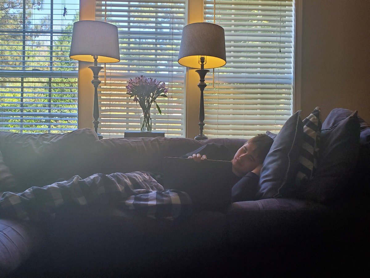 SPEDtacularDDMS's tweet photo. I spy with my little eye ... a student cozying up with a online books in his pajamas!! 🕵️♀️ 💙🐾#DDMSVirtualSpiritWeek #PantherProud https://t.co/VSyPIZU0cd