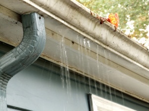 ChcCst's tweet photo. With the rain in the forecast it’s time to look at your gutters! If they look anything like this then they are causing damage to your house and foundation. Give us a call today to get your gutters working the way they are supposed to!! https://t.co/eytwKRNjFB
