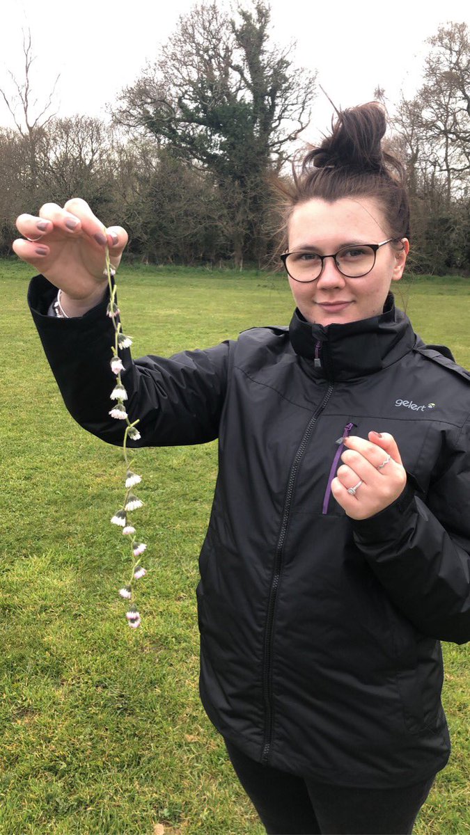 M1gi7's tweet photo. Lully walk up the field with @maisy_fay @kerrycubbins and Paul Eveleigh. With the Chunk dog too of course. Thanks very much for the daisy chain crown too beautiful. 🐶😘🌼💛 https://t.co/9s3X7h6MDp