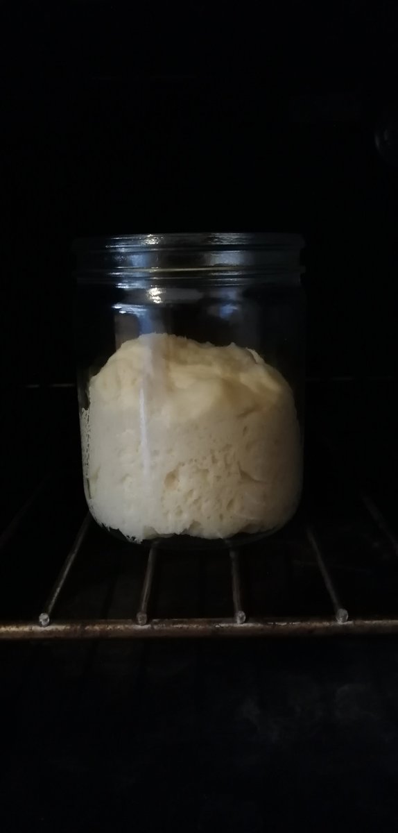 5/ I tested pétrissage sur pâte this week and it worked like a charm.A couple remarks: The dough rose more slowly than with new yeast. It needs to be "fed" flour and water once in a while (or frozen) if not used soon. It has markedly better flavor than new yeast.