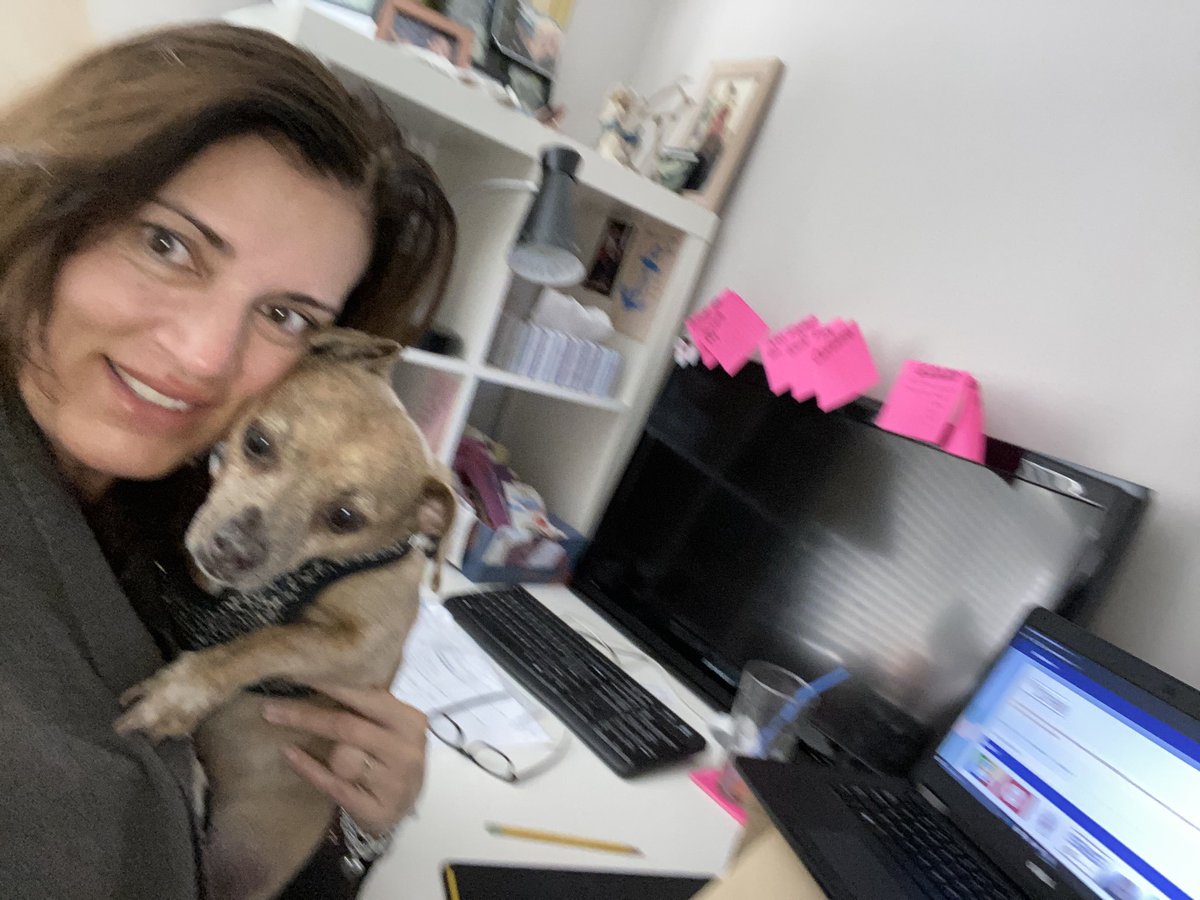 DYounce-AP@FHCHS tweet media