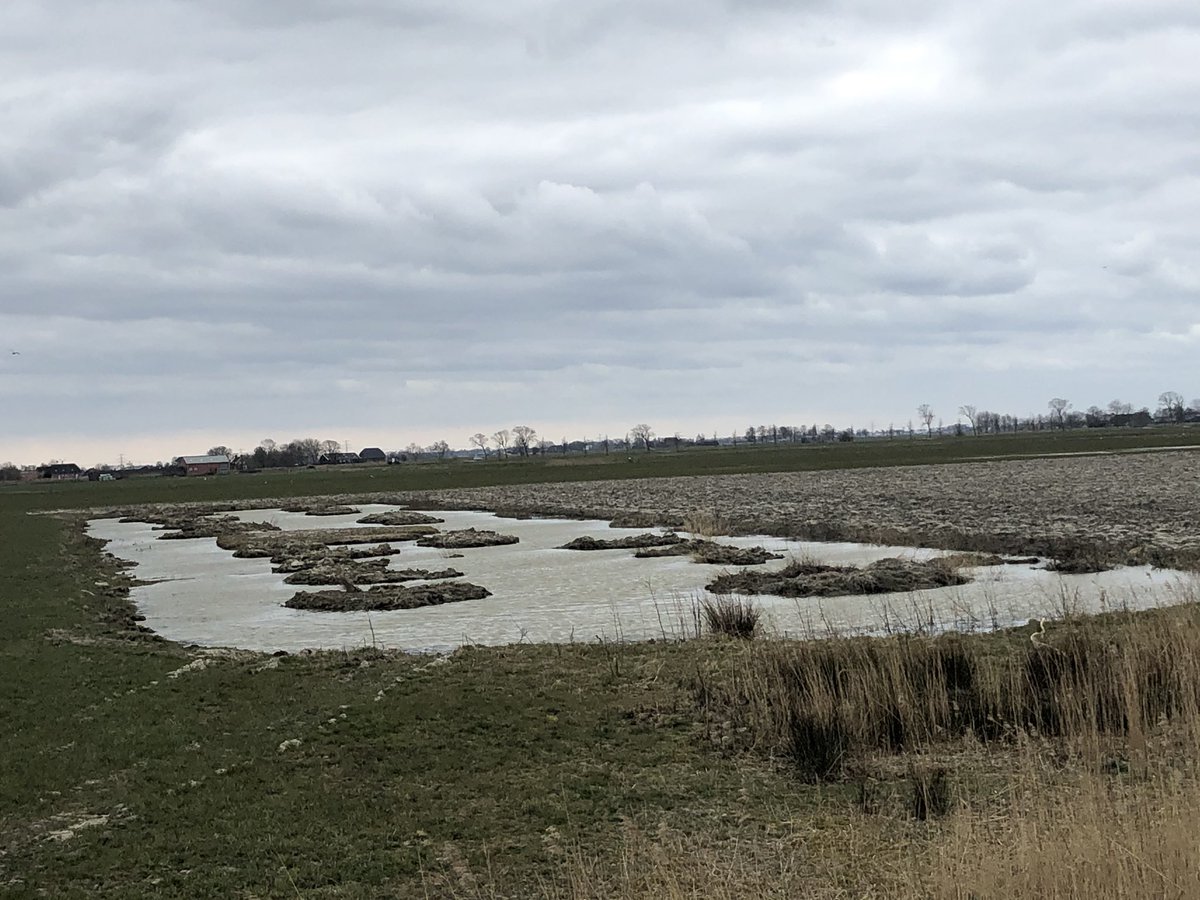 JacobdeBruin's tweet photo. Fijn zulke buren (MTS Veenland) die met hulp van @CollectiefGWest plasdrassen tegen het natuurgebied #Tinallinge aanleggen. Zo kunnen we de weidevogels behouden! 👍🏻 https://t.co/kD0s35W8A2