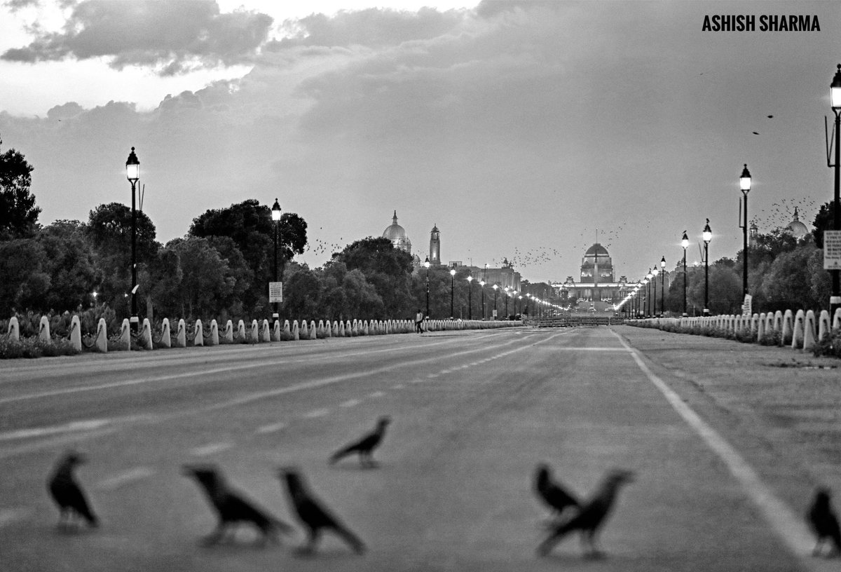 ashishsphotos's tweet photo. Capital Quiet 
Crows on New Delhi’s Rajpath amidst nationwide lockdown. 
#india #Asia #photojournalism #Corona #rajpath https://t.co/4SNYnO5DES