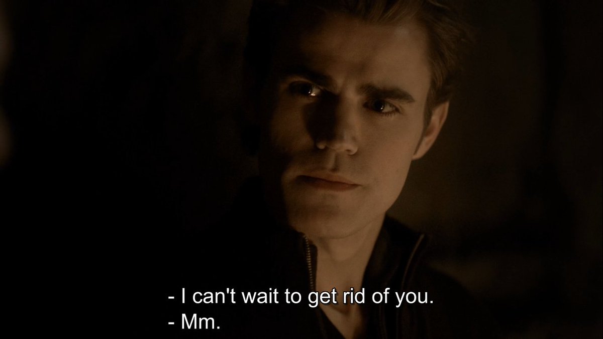 Fuck you Stefan. Fuck you. Honestly? People were loving this asshole? I'd rather adore Damon, he's dead inside & no one ever chose him over any other person. He deserved a character that would truly love him & adore him (that is not Elena).